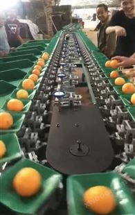 晴隆脐橙选果机  自动分大小的机器