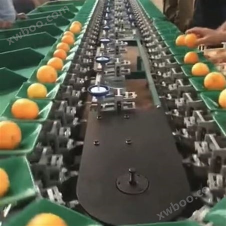 柑橘果分机厂家 可用挑选水果大小的机器