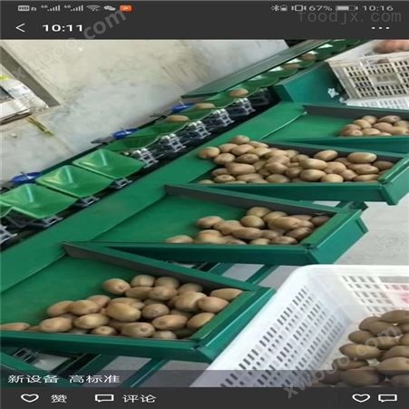 陕西眉县分级设备  猕猴桃分选机 选果机