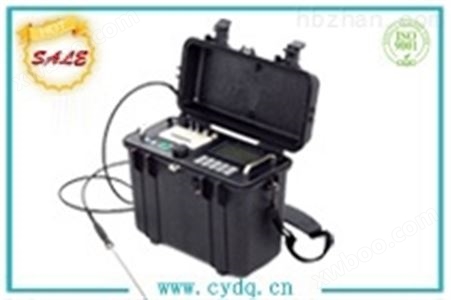 CY-YQFX便携式烟气分析仪