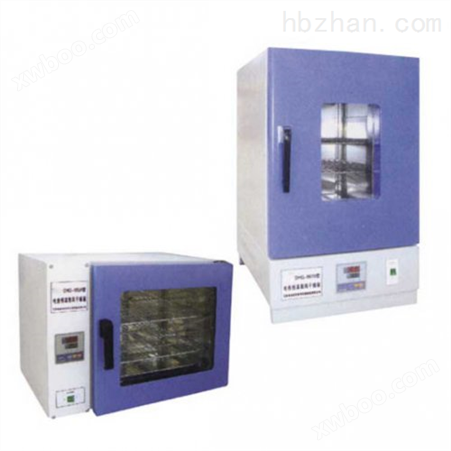电热干燥箱XY-DHG 固废烘干设备