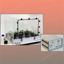 phytolabelbox气体标记植物培养系统