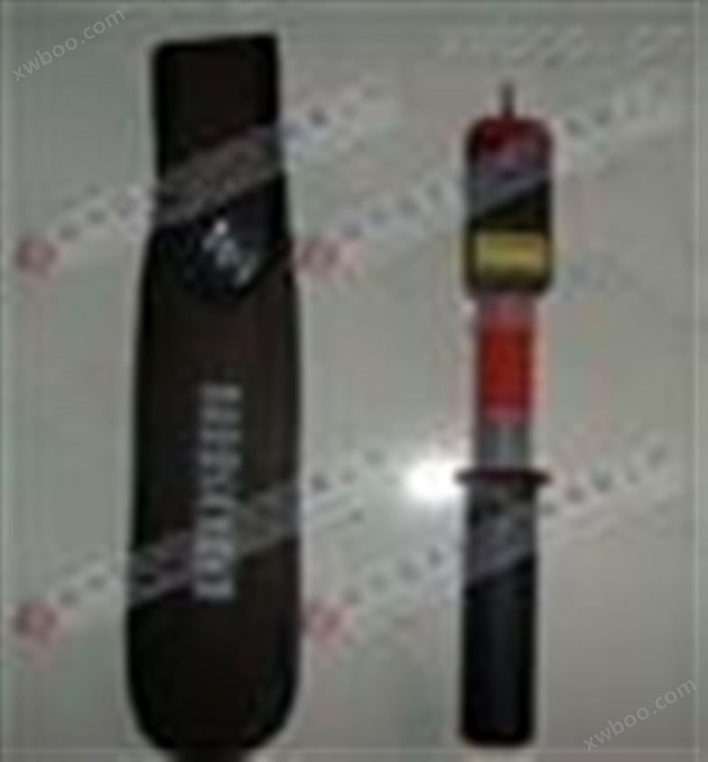 扬州防雨式GDY-F-220KV高压验电器/验电笔