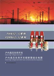 FKN12-12系列户内高压负荷开关   FKRN12-12系列户内高压负荷开关熔断组合电器