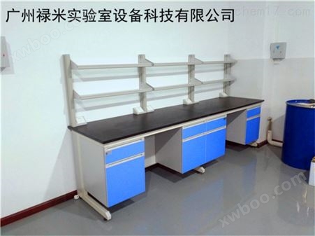 LUMI-GMSYT厂家直供 实验台 钢木边台 实验室家具