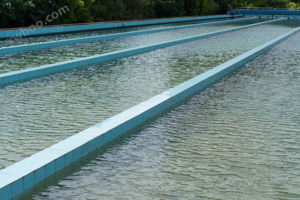 安徽淮南炼化厂循环冷却水系统样品循环水系统阻垢剂L-406