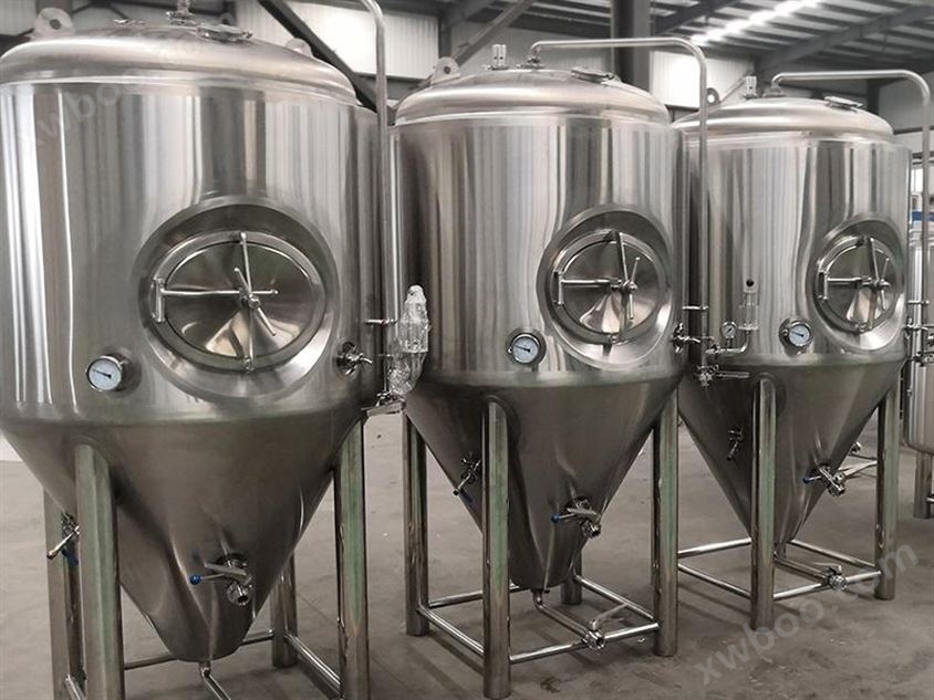 1000L 啤酒设备发酵罐