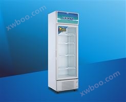 LG-263L冷藏柜
