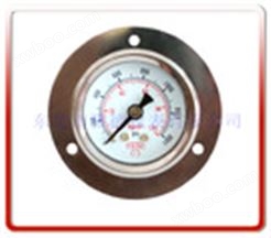 40MM轴向边耐震油压表