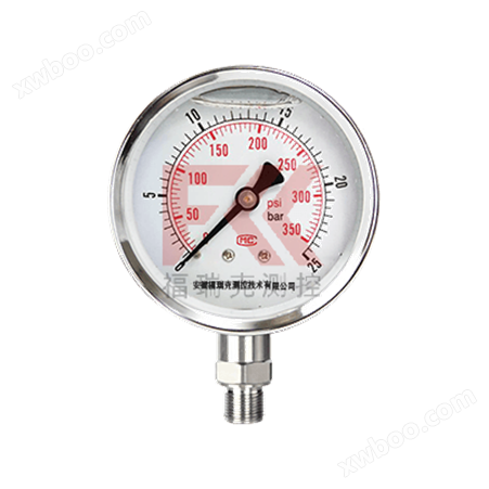 耐震压力表YN60径向轴向真空负压表不锈钢抗震油压表水压表压力表