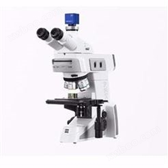 蔡司扫描电镜 SEM扫描电镜 德国蔡司显微镜