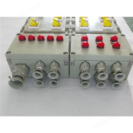 初途-嘉兴2回路电磁防爆配电箱BXMD59