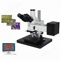 研究级多功能DIC金相显微镜YWJ-600