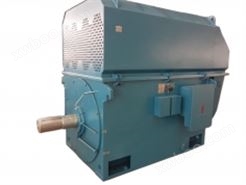 YTM/YHP/YMPS系列磨煤机专用三相异步电动机（YTM高压电机  煤磨高压电机  高转矩高压电机）