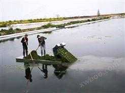 北京割草船