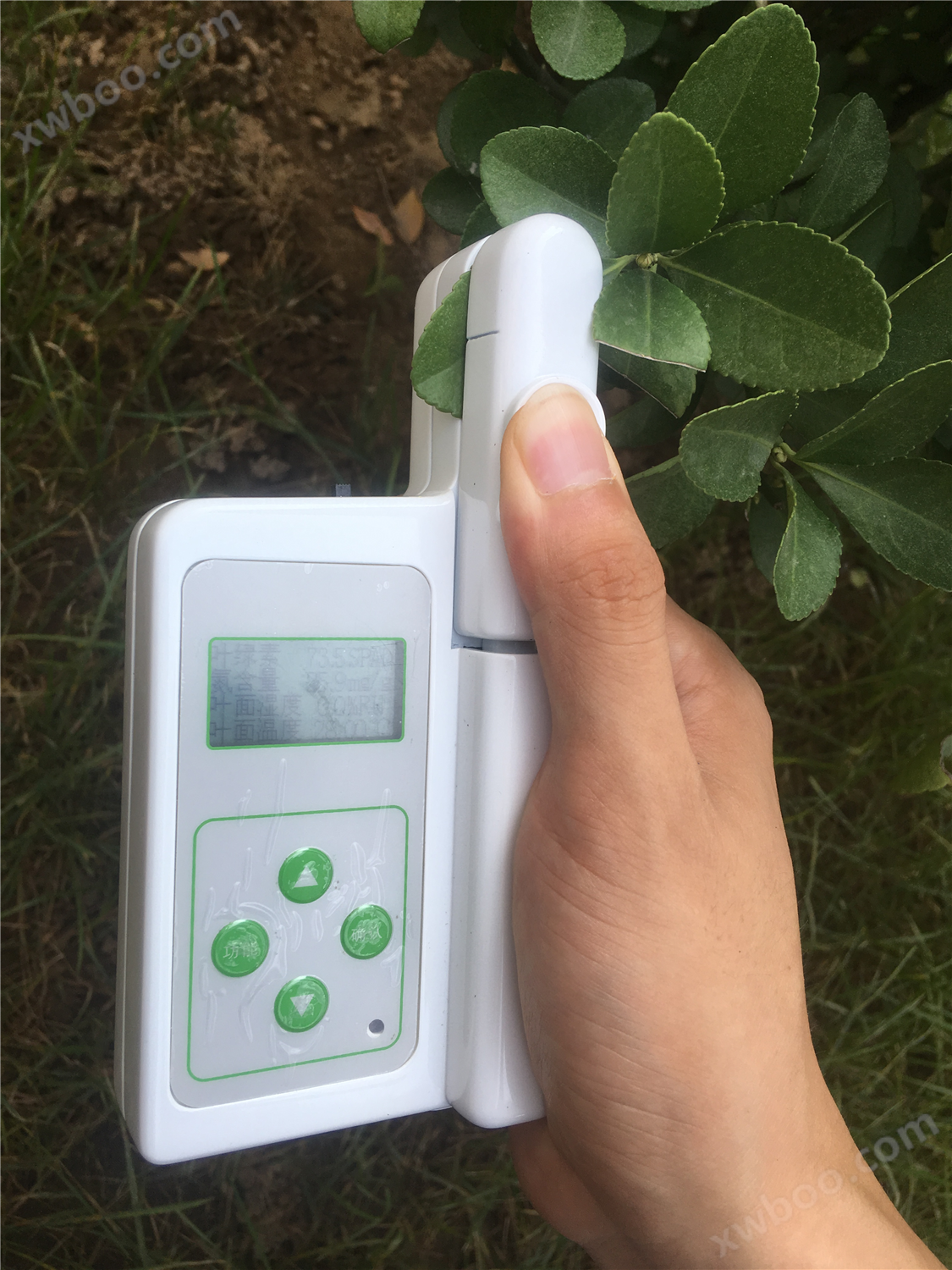 BY-4N植物营养测定仪