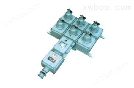 BXX52系列防爆检修电源插座箱（IIB IIC）