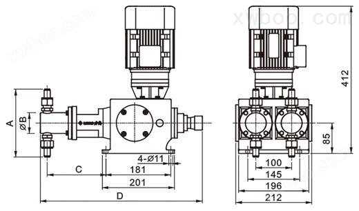 进口2L-X系列柱塞式计量泵(图1)