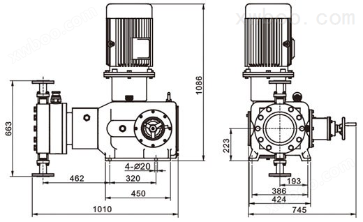 进口液压双隔膜泵(图1)