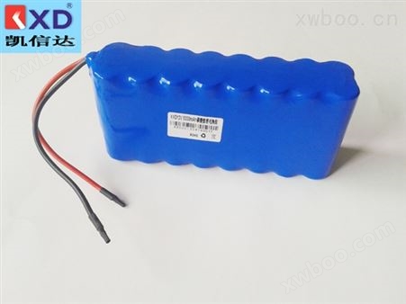 KXD12V6Ah磷酸铁锂电池组