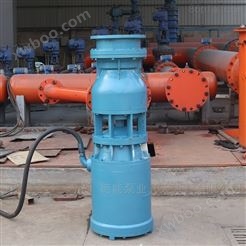 中吸式轴流泵厂家寿命 扬程:1-20米