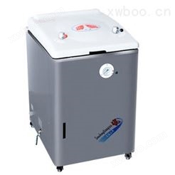 上海三申A型立式压力蒸汽灭菌器YM100A（非医用人工控制型）