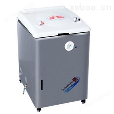 上海三申A型立式压力蒸汽灭菌器YM100A（科研人工控制型）