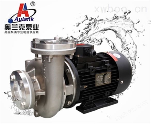 高温泵 热水热油泵 油炸机专用泵 不锈钢离心泵