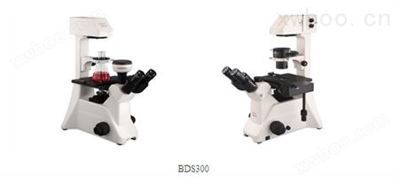 重庆奥特BDS300-PH三目倒置相衬显微镜
