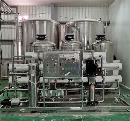 10吨每小时双级反渗透制药GMP车间纯化水科研厂纯化水设备