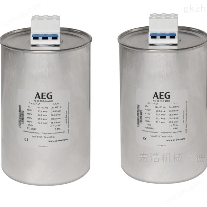 德国AEG电容器