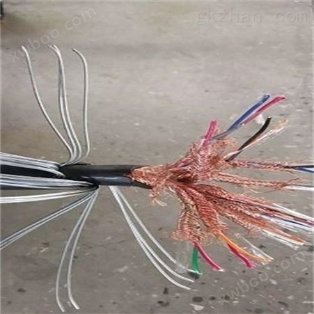 DJFPGR氟塑料高温电缆