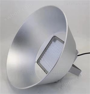 LED泛光灯50W 工厂壁灯 电厂平台灯