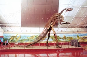 诸城市恐龙博物馆