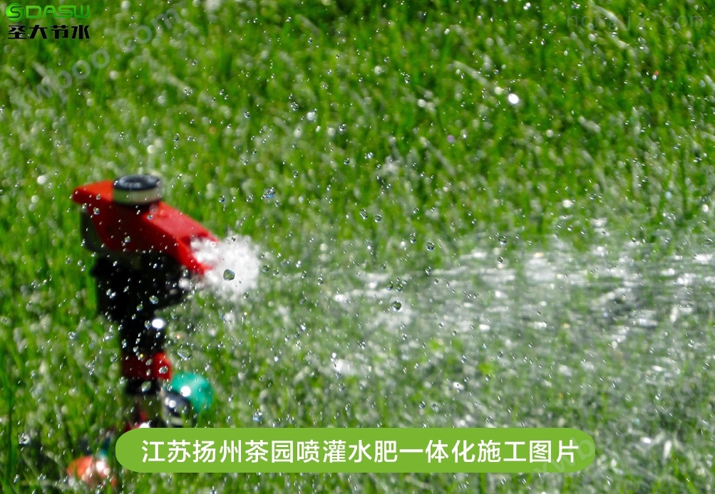 江苏扬州茶园喷灌水肥一体化施工案例-山东圣大节水科技有限公司