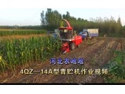 河北农哈哈4QZ-18A青饲料收获机-作业视频